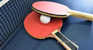 Olahraga Tenis Meja, Cara Main Teknik dan Strateginya